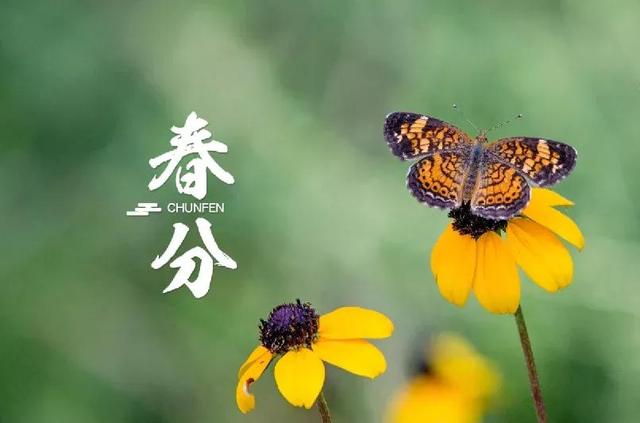 微信名女生简单气质大全，女微信名字简单气质（陌上行人频染醉）