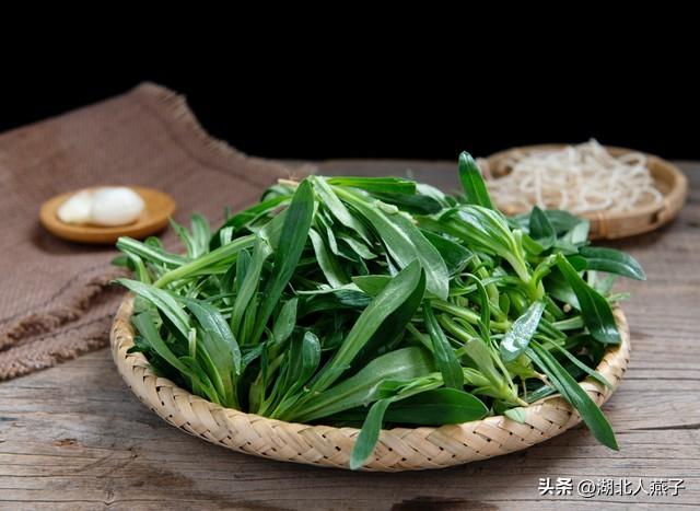 菜图片大全大图，饭店菜谱大全带图片（这43种时令野菜大量生长出来）