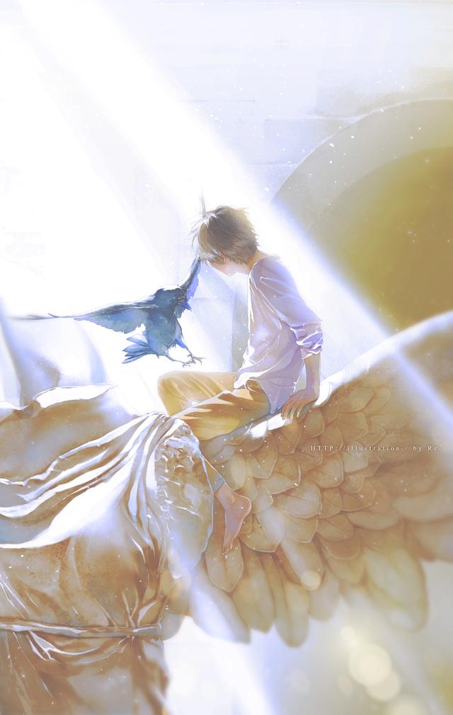 光影美，光影美学概念（淡淡的色彩表达颇具美感图片）