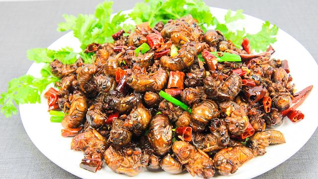 椒盐知了猴的做法,知了猴烹饪方法(金蝉长得不好看)