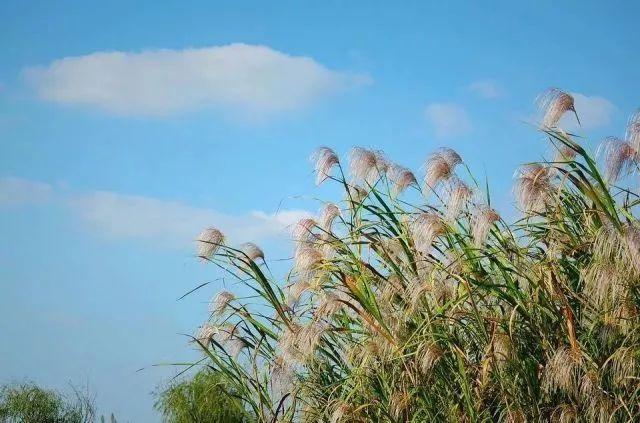 兰州有几个区(兰州几个区几个县几个镇)