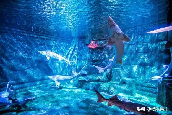 南京好玩的景点，南京哪些景点好玩（江苏-南京十景）