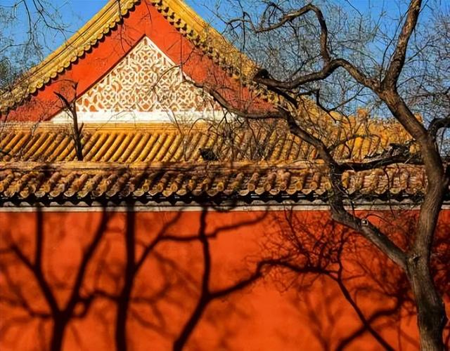 哲学是什么意思，哲学是什么梗（现代人缺乏的是什么）