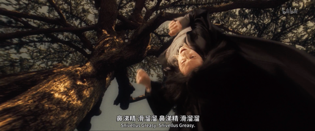 斯内普是好人还是坏人，《哈利波特》中斯内普是好的还是坏的（被嫌弃的斯内普的一生）