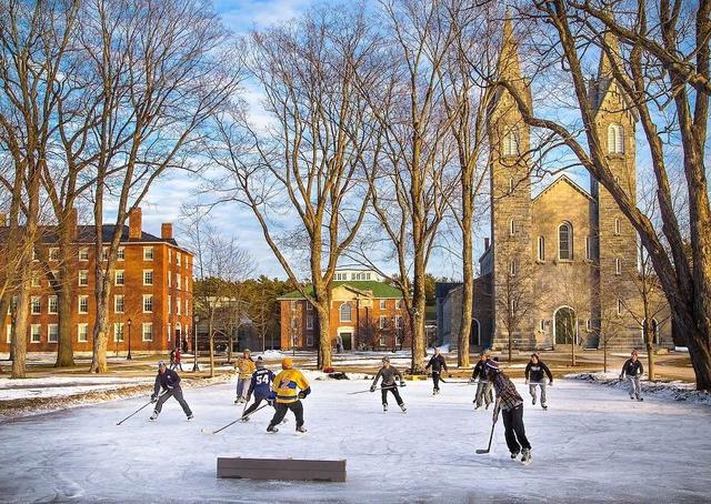 申请国外大学需要什么条件，申请国外大学（3所藤校不在Top10）