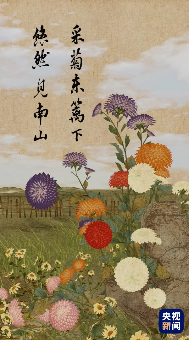 寒露是什么意思，人间好时节丨寒露