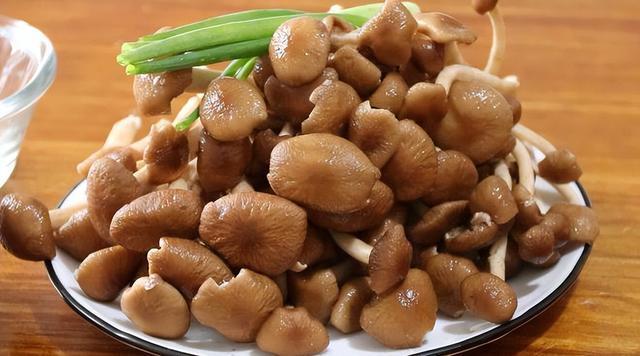 蘑菇有哪些，可以食用的蘑菇有哪些（秋季要多吃蘑菇）