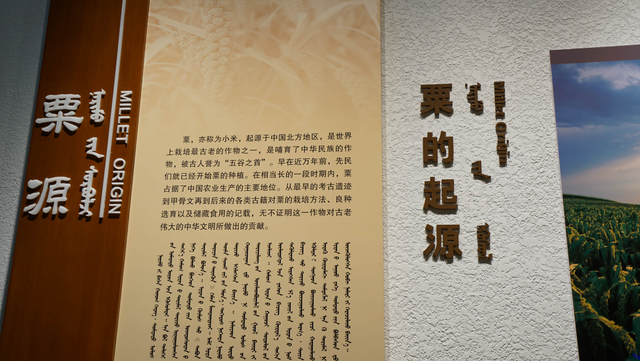 赤峰敖汉旗介绍，跨越8000年的“寻米”之旅——探访小米之乡内蒙古敖汉旗