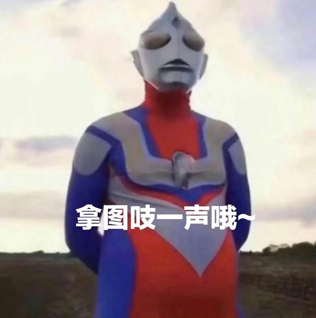 花朵系列背景图，花朵背景图片大全高清唯美（温馨又治愈的花朵背景图）