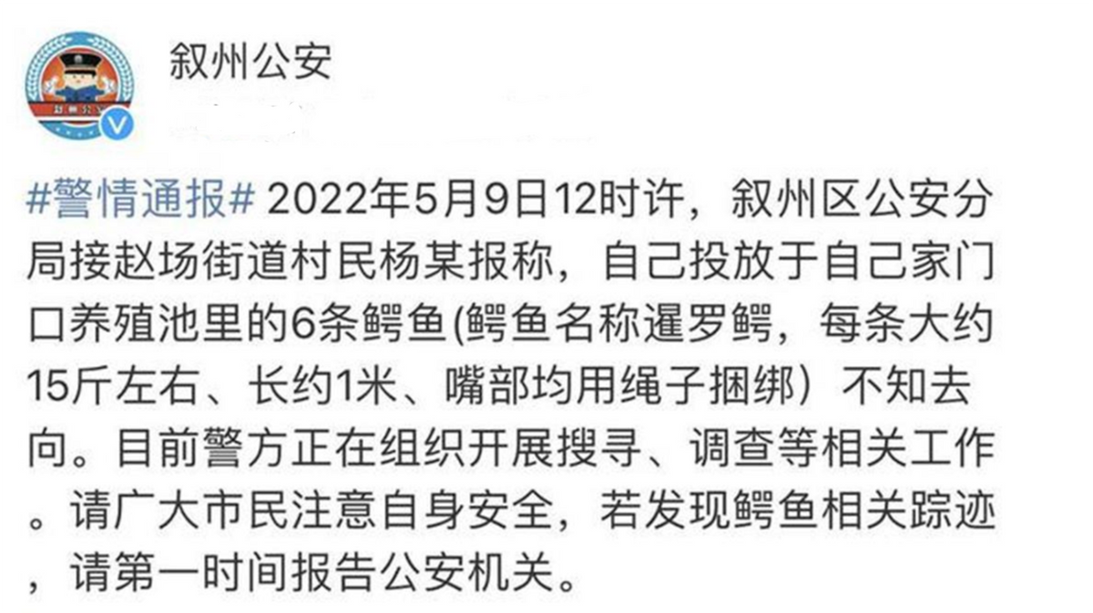 六条鳄鱼神秘失踪！现场仅留空笼与水迹，引发全城搜捕与安全警报。
