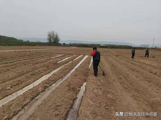 3的立方根是多少，3的3次方是多少（才能让蔬菜长得好、产量高、收益高）