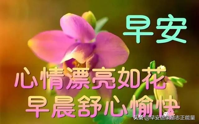 抖音语录经典语录，抖音上的说说经典语录（正能量早安发朋友圈的句子）