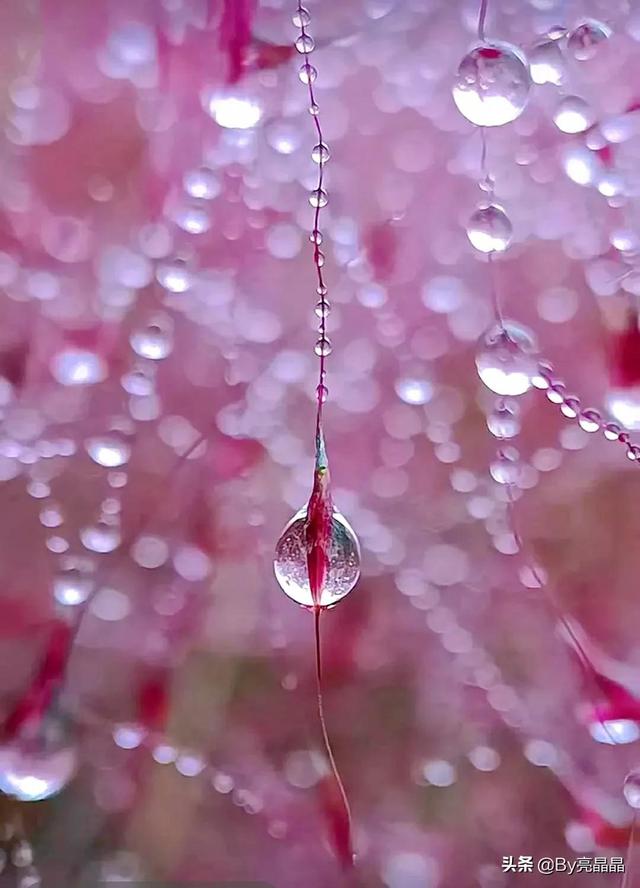 词语搭配什么的小水珠，什么的小水珠填上恰当的词语（晶莹剔透的小水珠）