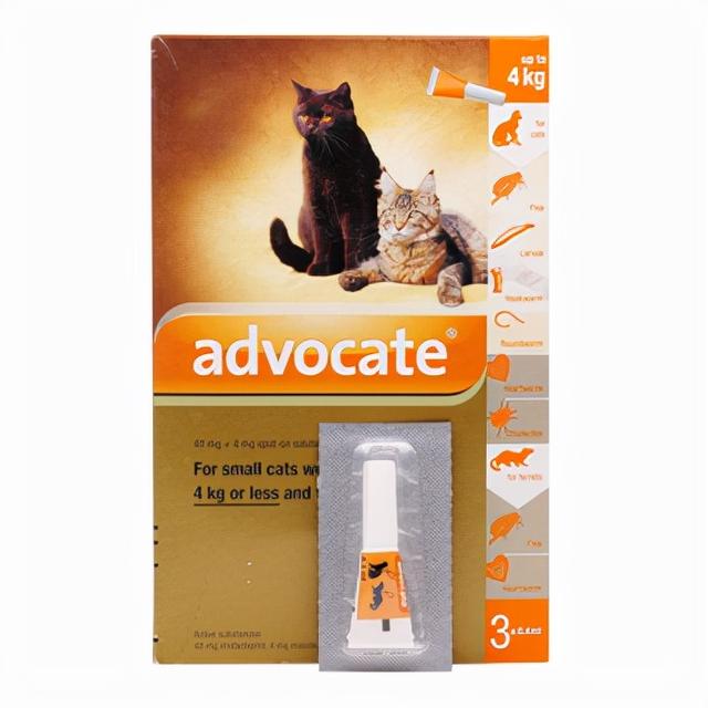 拜宠清，让你比宠物医生更专业（拜宠清和福来恩哪个好）