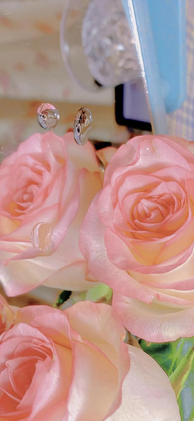 粉色系美图,美图壁纸 粉色(粉色系壁纸丨浪漫的灵魂)