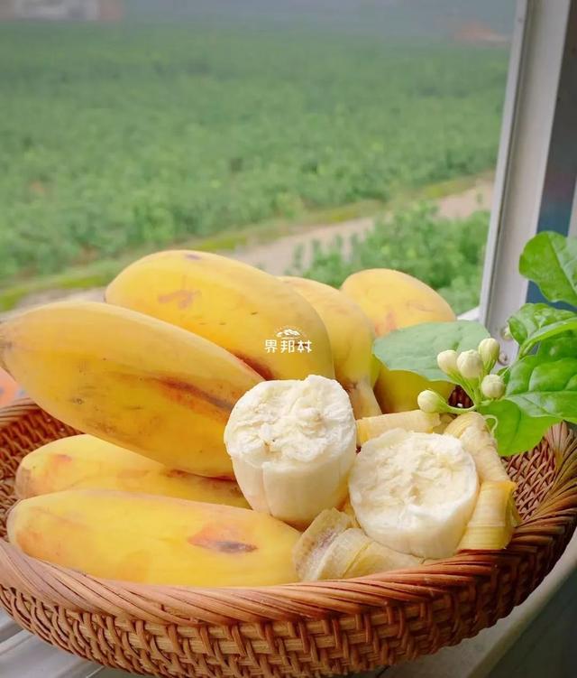 雪莲果图片，这13种水果因为名字被误解（雪莲果图片叶子图片）