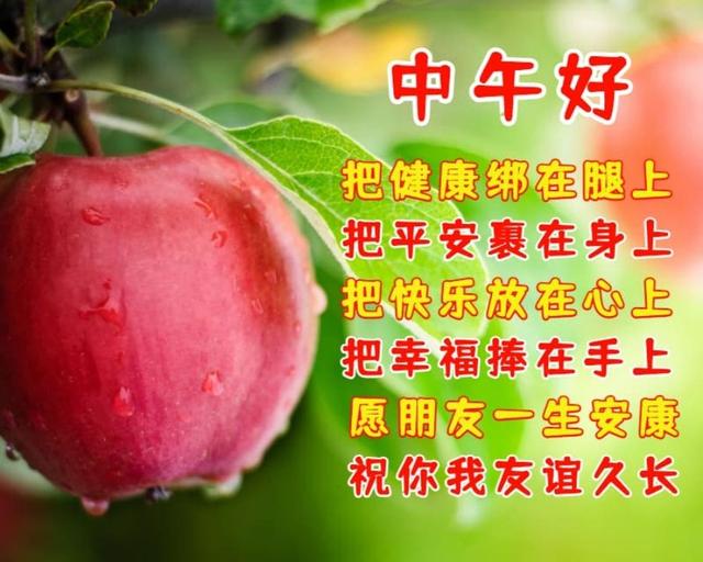 中午问候图片带字图片图片