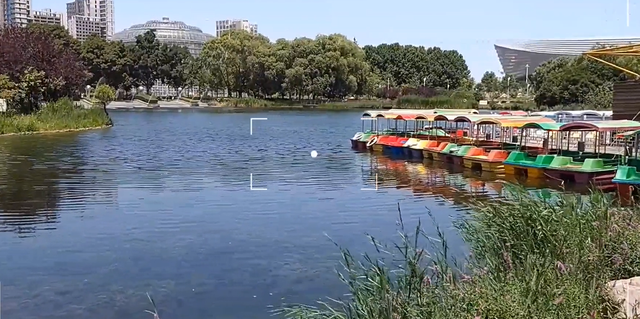 郑州周边免费景点，郑州最近免费旅游景点大全（不出郑州的8个赏花遛娃地）