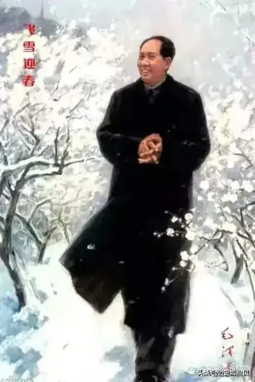 你见过的最有趣的通俗比喻是什么？