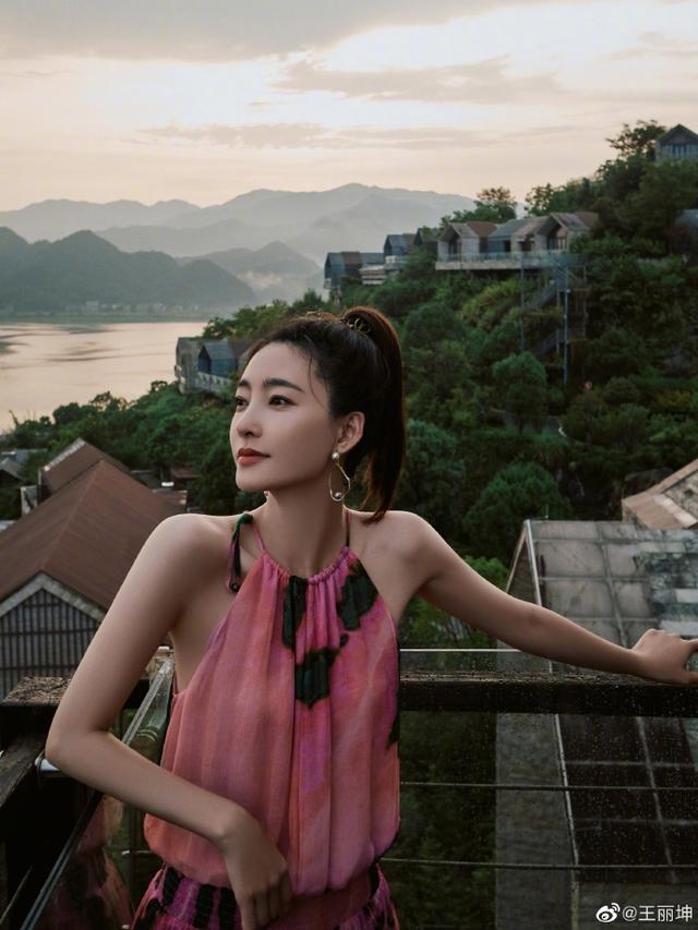 王丽坤的资料及简介，王丽坤女士始终遵纪守法