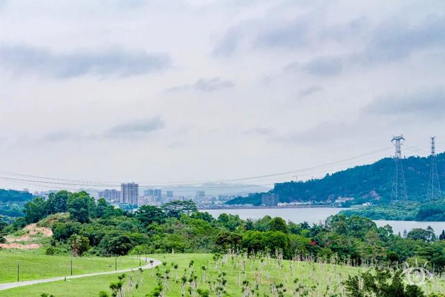 深圳有哪些好玩的地方，深圳有哪些好玩的地方及美食街（深圳这22条绿道，真的美）