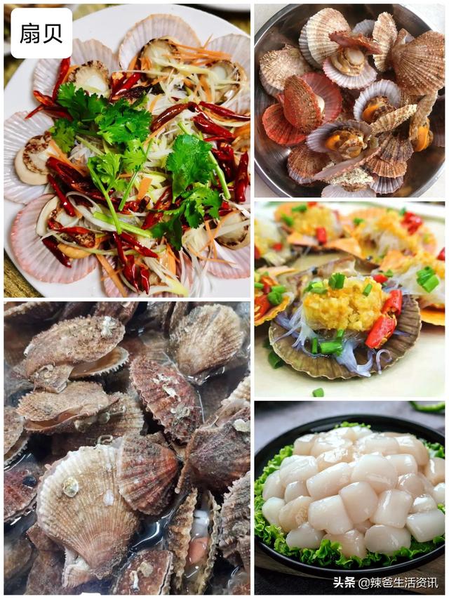 简单又好做的海鲜，这10种海鲜如何加工