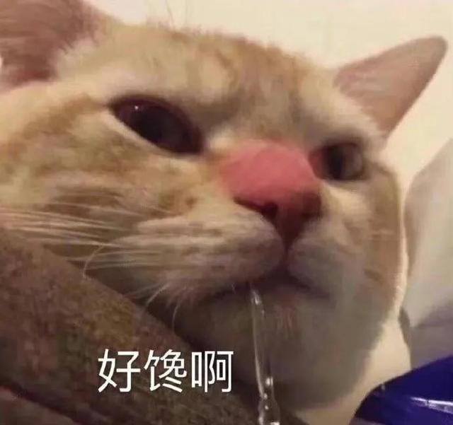 哼唧唧歪歪，微信头像，哼唧唧歪歪（猫猫狗狗表情包/哼哼）