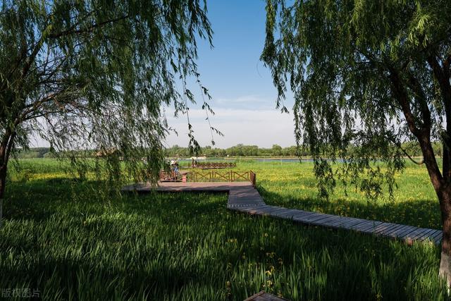 北京湿地公园有哪些景点好玩，北京公园推荐︱10个值得一去的免费公园