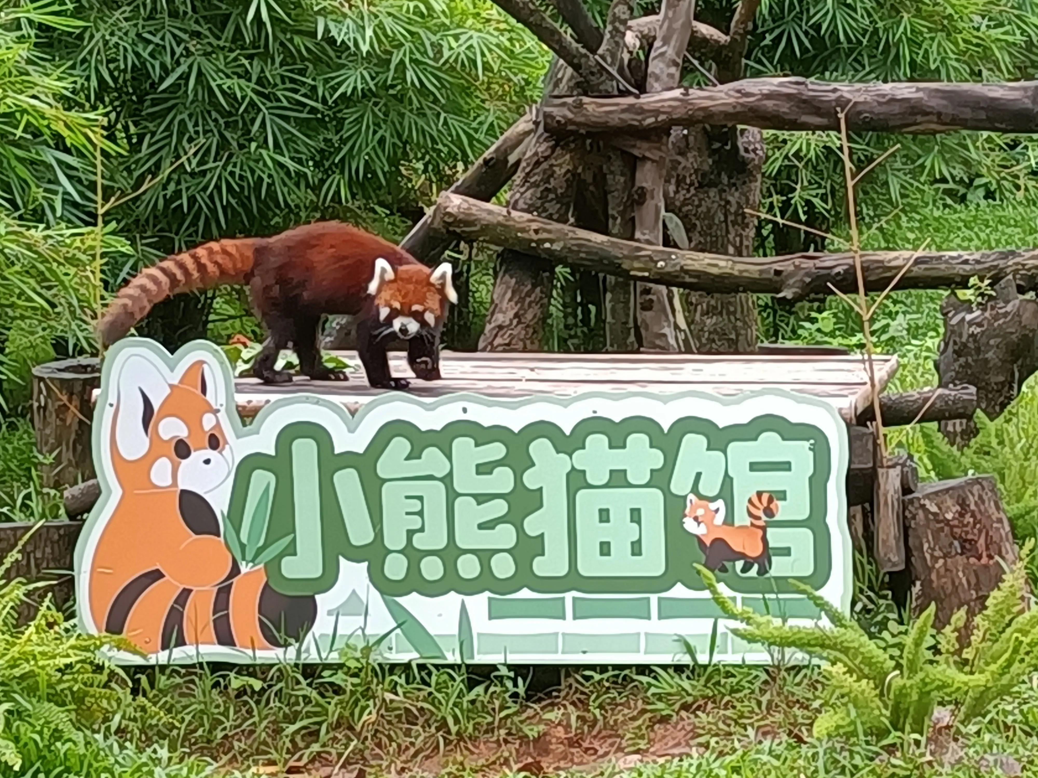 广州市动物园(广州宝墨园在哪里)