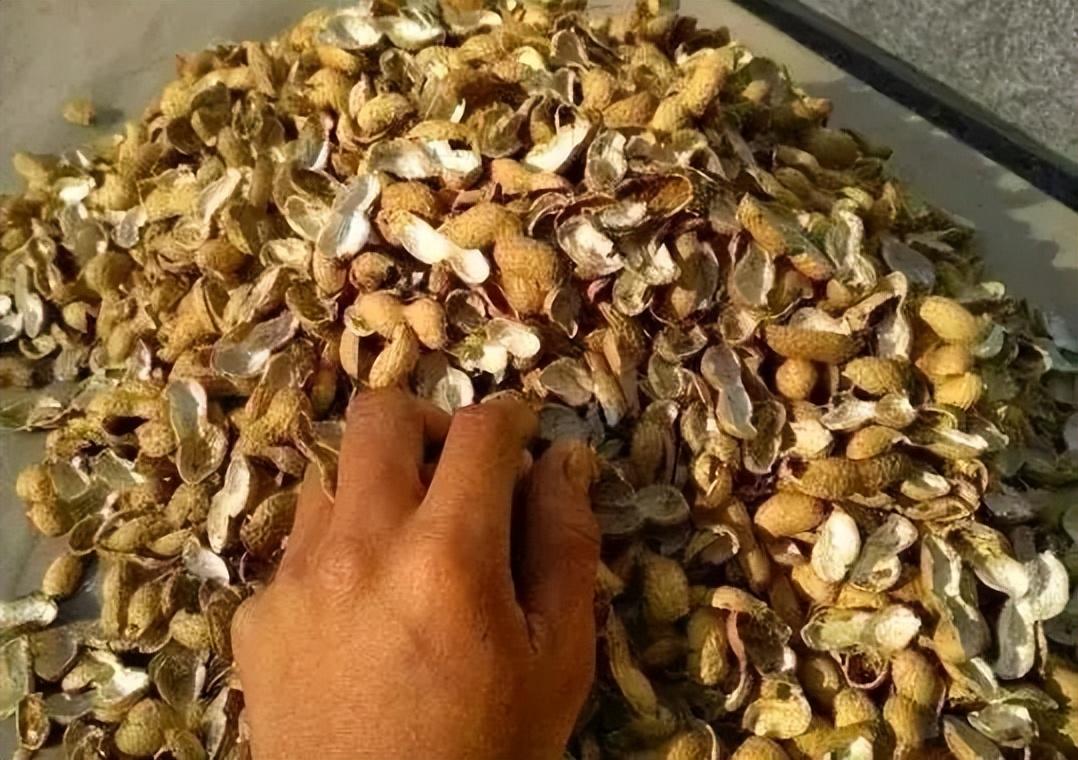 花肥用什么肥料好，养花用什么肥料（家里“5种”东西）