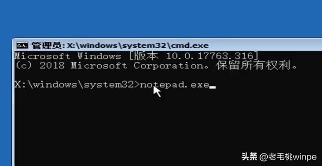 什么是计算机病毒，号称“最恐怖”的电脑病毒（什么是计算机病毒计算机病毒的特点有哪些）