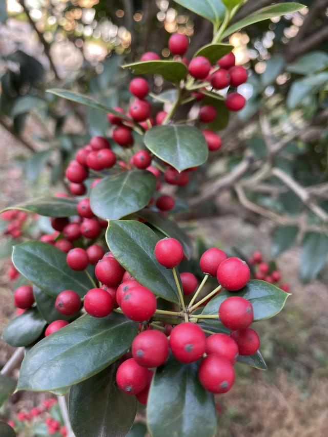 灵魂相似的人一旦相逢，灵魂相似的人一旦相逢是知心朋友（总有一天会在路上相逢）