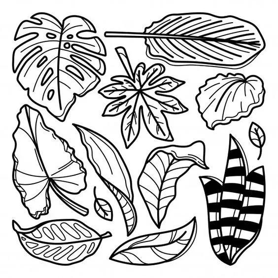 卡通画图片大全可爱，可爱卡通简笔画，微信头像（初学者必学的一组卡通简笔画）