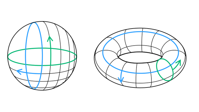 庞加莱猜想应该怎么解释，庞加莱猜想有什么意义（庞加莱猜想是什么）
