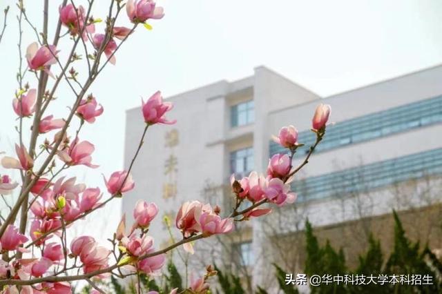 华中科技大学全国排名，2020华中科技大学排名_2020版排名（2022软科中国大学排名重磅发布）