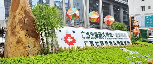 广西中医药大学是几本，广西中医药大学是985大学还是211大学（广西文科一本高校实力排行榜）