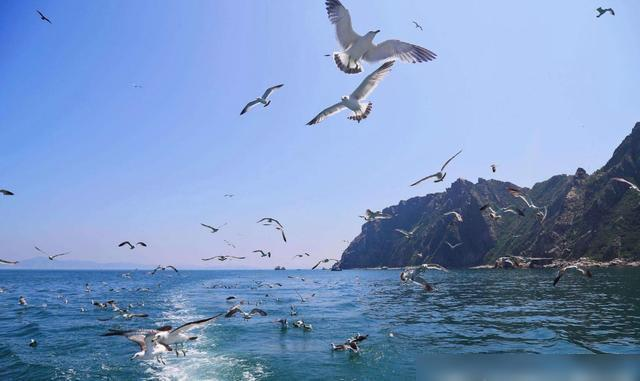 蛇岛的中国蛇岛，中国境内的蛇岛（2万毒蛇齐聚0.8平方公里小岛）