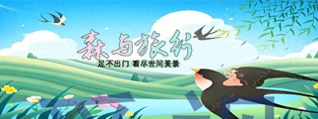 云冈石窟，中国三大石窟之一，这里是中国佛像艺术的巅峰杰作