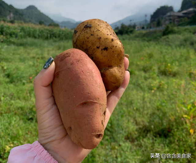 毕节美食，毕节有什么好吃的美食（贵州毕节最有名的6大特色美食）