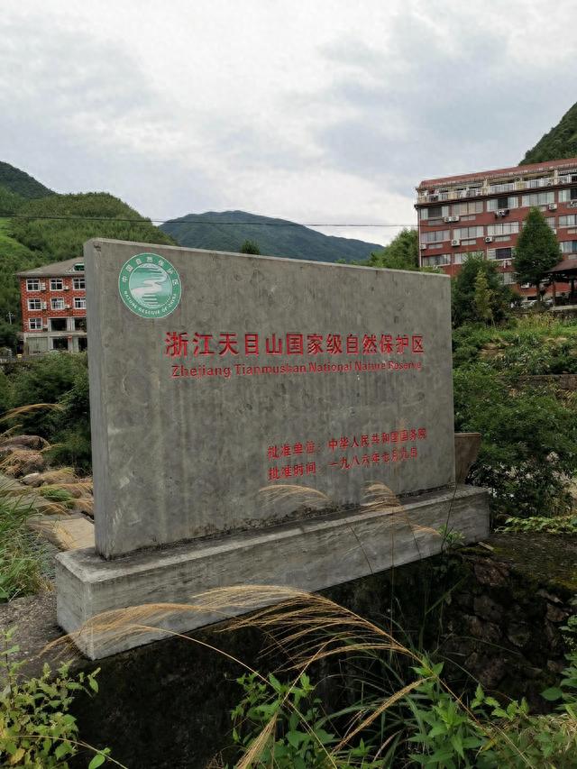 避暑胜地，临安天目大峡谷