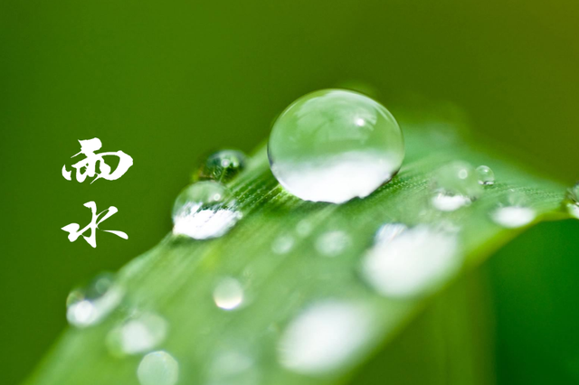 好雨知时节，好雨知时节,当春乃发生.随风潜入夜,润物细无声的意思（十首春雨的诗词）