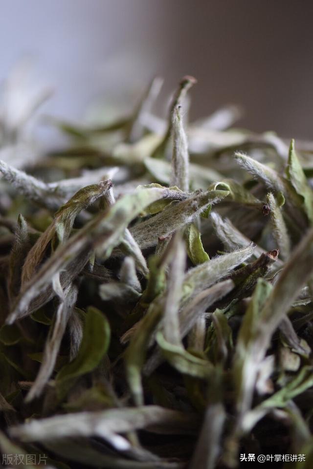 贡眉是什么茶，白茶贡眉与寿眉的区别究竟在哪里