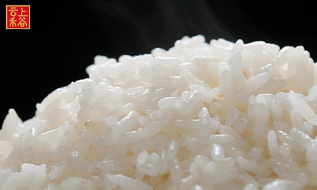有机大米标准，有机大米标准GB/t19266（云上禾谷丨如何辨别大米的优劣）