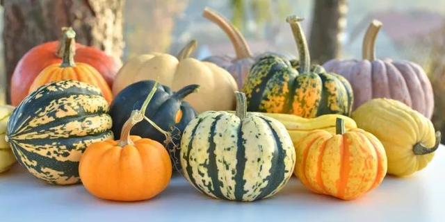 养胃的东西有哪些，养胃的东西都有什么（胃不好的人吃什么养胃）