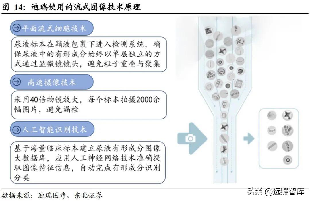 贝克曼库尔特（迪瑞医疗）