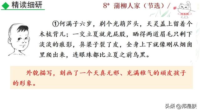 形容人物性格的词语，形容人性格的词语（蒲柳人家.刘绍棠.课文+诵读·+课件+知识点）