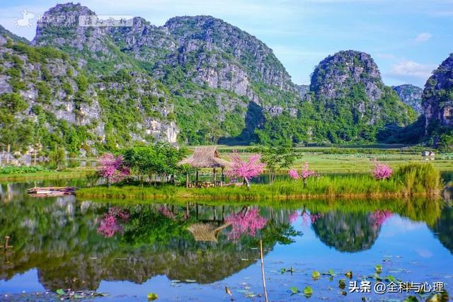 泸沽湖的海藻花几月份去最好，夏日云南美景可不止一点点