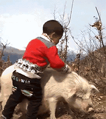 女主穿越斗罗大陆的小说，求女生穿越到斗罗大陆的小说（才算真正的斗罗大陆4部曲）