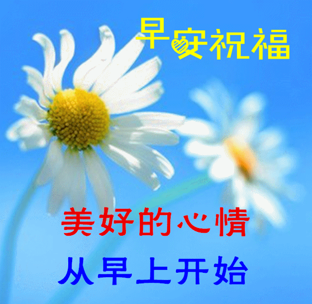 美图，美图秀秀怎么p图（早晨好幸福暖心的问候图片鲜花带字）