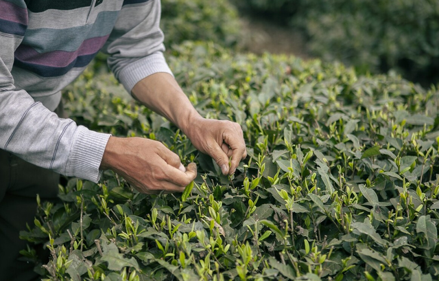 送爸爸什么礼物好，2021父亲节送什么礼物给爸爸好（适合给家人带的小礼物）